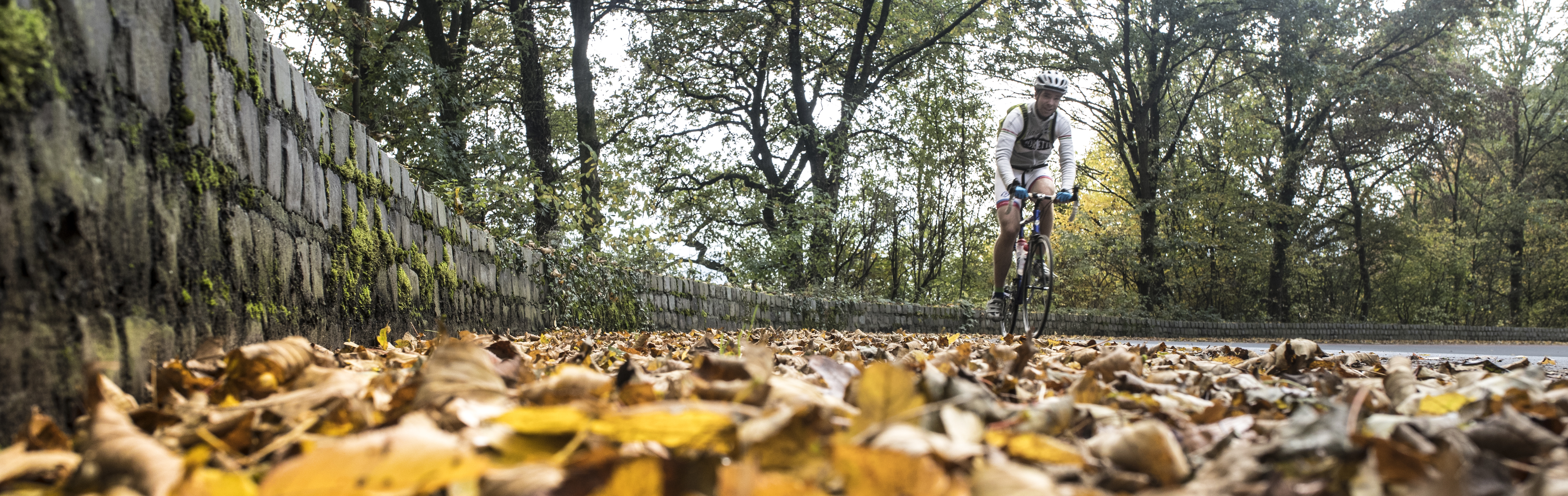 Nieuwsbrief september 2025